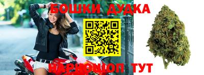 шишки Обь