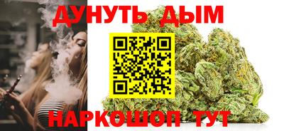 шишки Обь