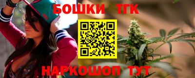 шишки Обь