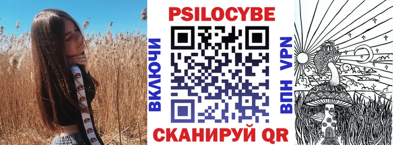 где можно купить   OMG   Псилоцибиновые грибы GOLDEN TEACHER  Тайшет 