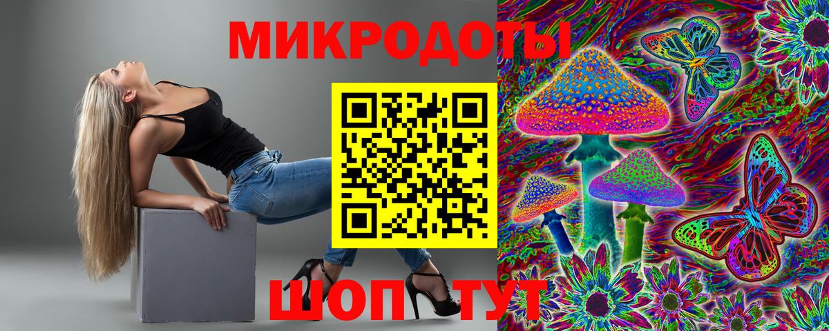 Псилоцибиновые грибы прущие грибы Тайшет
