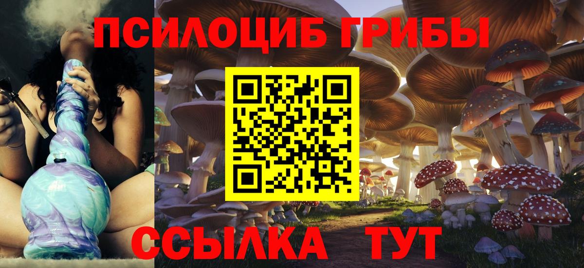 Псилоцибиновые грибы MAGIC MUSHROOMS  Вход с VPN  Тайшет 
